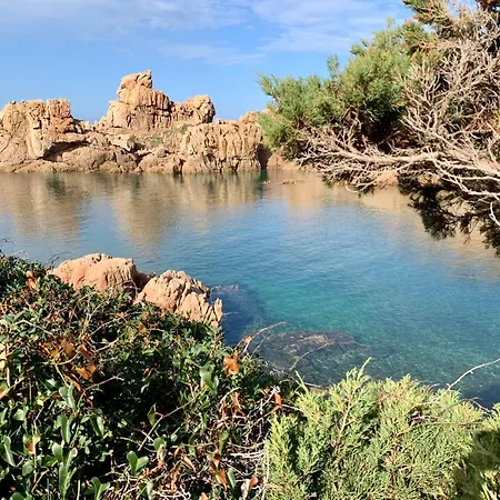 Daire Mares A Pochi Passi Dal Mare Con Piscine Naturali Costa Paradiso