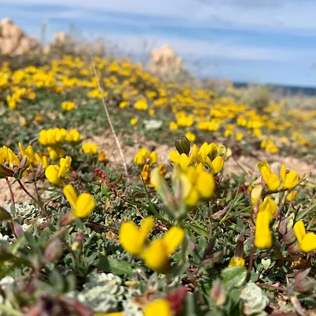 Mares A Pochi Passi Dal Mare Con Piscine Naturali Daire *